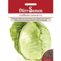 Dürr Samen Weißkohl Coronet F1 Saatgut