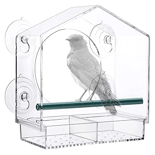 Vogelfutterstation Transparent – Ideal für Wildvögel