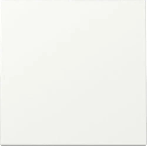 Gira 329627 Wippe, System 55, reinweiß seidenmatt von Gira