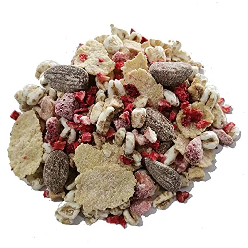 BIRCHER HERBSTGARTEN BIO MÜSLI mit gefriergetrockneten Erdbeeren I Haferkleie I Mandel & Haselnuss I Haferflocken I Vegan I 600g