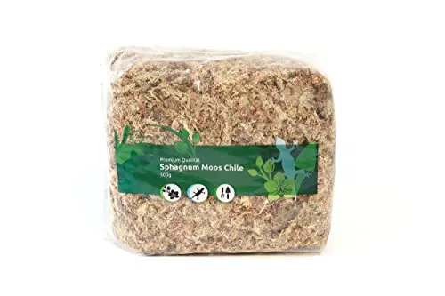 Wasserpflanzen von sphagnum-shop.com