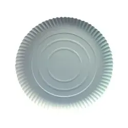 Papstar Pure Teller rund 11135 , 1 Packung = 100 Stück