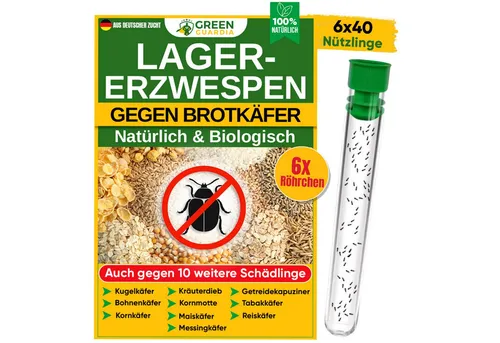 GREEN GUARDIA Insektenvernichtungsmittel mit Lagererzwespen gegen Vorratsschädlinge - Insektizide, umweltfreundliche Bekämpfung von Brotkäfern, Kornkäfern und mehr mit 40 effektiven Lagererzwespen in praktischen Röhrchen.