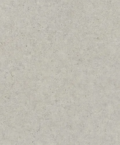 Rasch Tapeten Vliestapete (universell) Grau 10,05 m x 0,53 m Concrete 520859