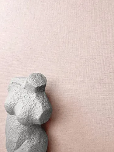 Newroom Rosa Vliestapete - Edle Farben für jeden Raum - Tapeten für stilvolle Wände: Abwaschbar, scheuerbeständig und kinderleicht zu verarbeiten, ideal für elegante Raumgestaltungen.