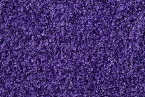 MILTEX Fußmatte Schmutzfangmatte Eazycare Uniq 40x60cm lila