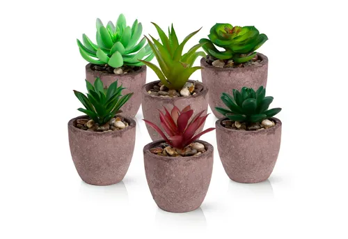 Künstliche Zimmerpflanze Kleine Kunstpflanzen & Künstliche Sukkulenten wie echt in edlen Töpfen Sukkulenten, PASCH, Hochglanz-Keramiktöpfe