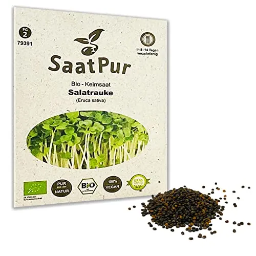BIO Keimsprossen von SaatPur - Keimsaat für Salatrauke Rauke Sprossen, Microgreens - 75g