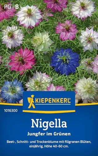 Kiepenkerl Nigellasamen Jungfer im Grünen 1016300 - Blumensamen für eine Beet-, Schnitt- und Trockenblume mit Inhalt für 70 Pflanzen - Blumenwiese, Saatgut