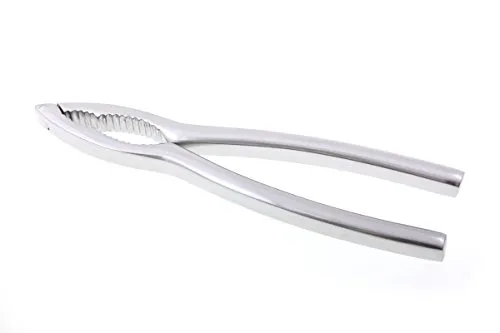 Nussknacker Edelstahl stabile Ausführung