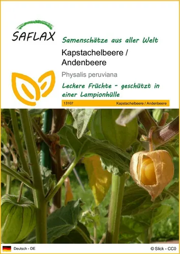 SAFLAX Blumensamen SAFLAX - Samen - Kapstachelbeere / Andenbeere