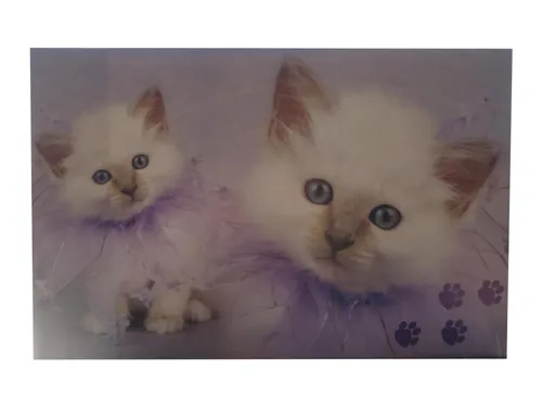 Schreibtischunterlage 58,5x38,5cm / 