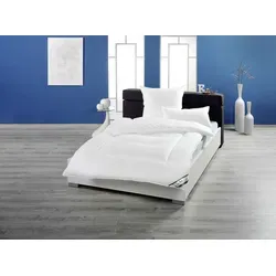 fan Winterdecke Texas Duo-Steppbett 155x220 cm - Bettdecken aus hautsympathischer Baumwolle mit weicher Hohlfaserfüllung für optimalen Schlafkomfort, ideal auch für Allergiker, waschbar bis 60°C und trocknergeeignet.