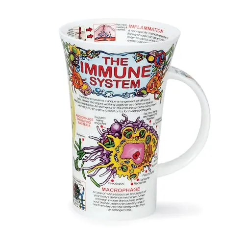 formano Tasse Dunoon Glencoe - Spülmaschinengeeignet - Thermobehälter mit mehrfarbigem Design, ideal für warme Getränke und spülmaschinenfest für einfache Reinigung.