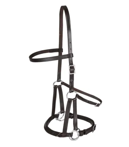 Waldhausen Braun WB Trensenzaum LTJ Lindel Gebisslos in braun von Waldhausen