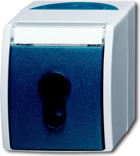 Busch-Jaeger Schlüsselschalter 2733SLW-53 ocean - Hochwertiger Schlüsselschalter für zuverlässige Elektroinstallation, ideal für Sicherheit und Komfort