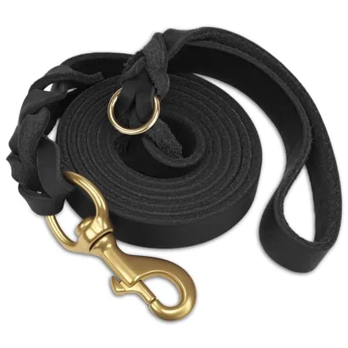 Joytale Hundeleine Leder, Strapazierfähige Lederleine aus Echtem Rindsleder mit Messinghaken, Weich & Langlebig, Führleine für Mittelgroße und Große Hunde – auch zum Training（Schwarz, 150cm×2cm）