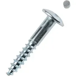 Produktbild Diebstahlhemmende Schrauben 88110, 8x50 mm