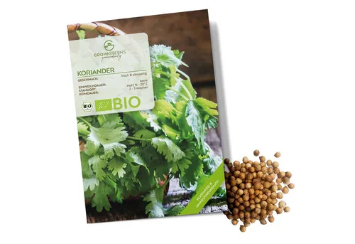 Growgreens Kräutersamen BIO Koriandersamen - Küchenkräuter Saatgut aus bio. Anbau (35 Korn)