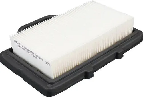 Briggs&Stratton Intek V-Twin Luftfilter