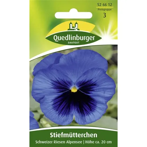 Quedlinburger Stiefmütterchen blau 'Schweizer Riesen', 1 Tüte Samen
