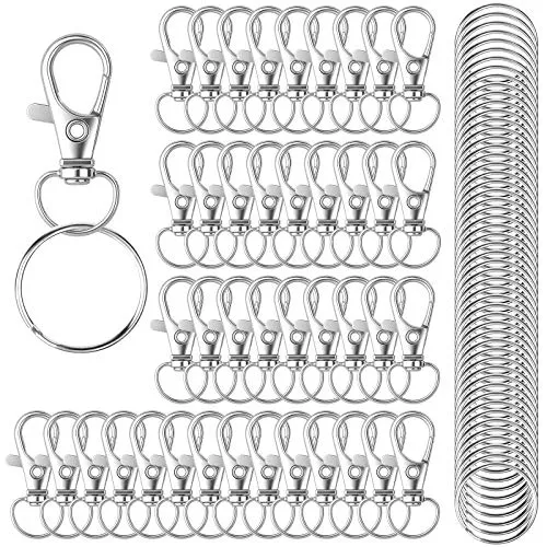 Stück Schlüsselring Edelstahl Klein Karabiner Schlüsselanhänger Basteln Selber Machen Ringe Karabinerhaken mit Drehgelenk(Silber) 100