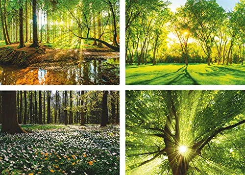 Poster & Bildende Kunst Grün von ARTland