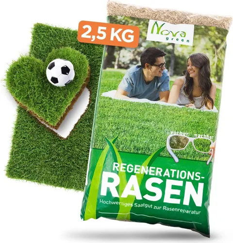 Premium Rasensamen Nachsaat schnellkeimend 2,5kg=75-100m² Reparaturrasen, schließt extrem schnell Lücken im Gras I Dichte, extra grüne Rasenfläche