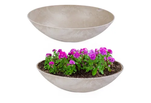 Pflanzschalen von matches21 HOME & HOBBY