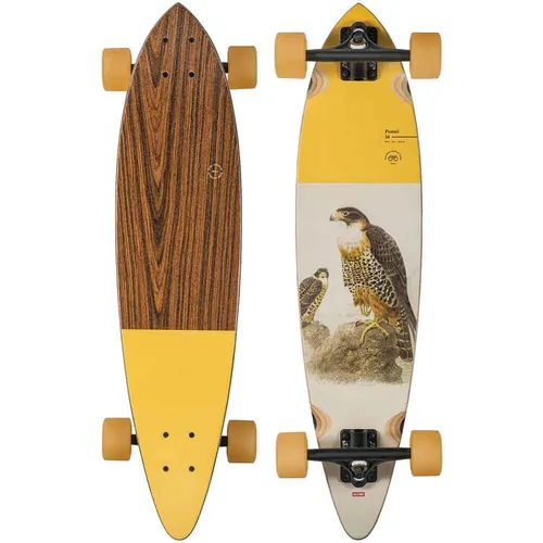 Globe Pintail 8x34