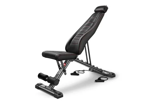 AsVIVA Hantelbank WB2