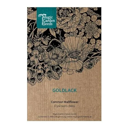 Goldlack (Erysimum cheiri) 300 Samen beliebte Duftpflanze aus dem Mittelalter Schnittblume gute Futterpflanze für Bienen mehrjährige Staude