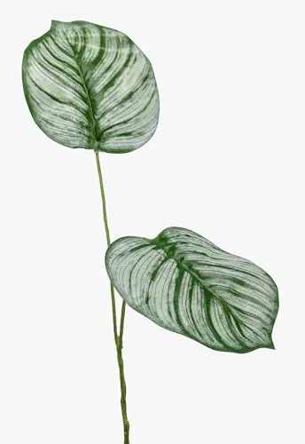 artplants.de Dekozweig Calathea Orbifolia TAMARIU, grün-weiß, 50cm - Kunstzweig Korbmarante/Kunstast calathea