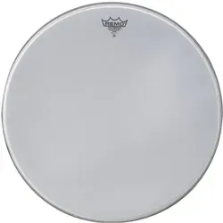 Remo 22