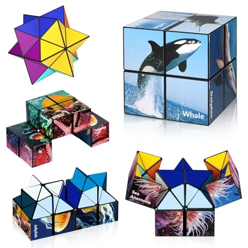Mechanische Geduldspiele von Euclidean Cube