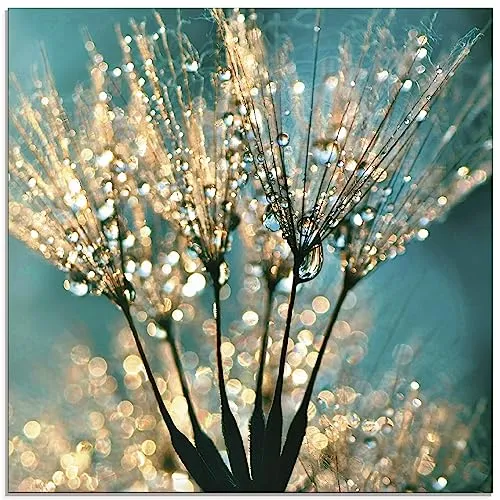 ARTLAND Wanddeko Glasbilder Wandbild Glas Bild einteilig Quadratisch Innere Ruhe Wellness Pflanzen Blumen Pusteblume Wasser Regen Tau Abstrakt S8TE