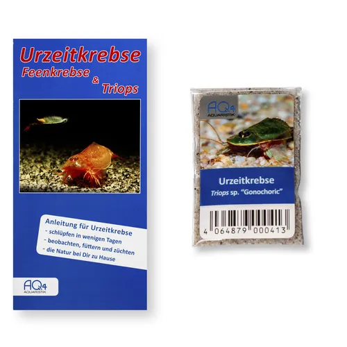 Triops sp.