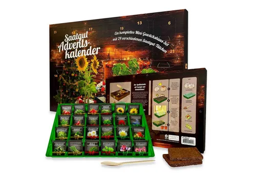 Baza House of Seeds Adventskalender Saatgut Adventskalender 2025 – 24 Samenarten & Mini-Gewächshaus, Geschenk für Gartenliebhaber/mit Blumen-, Gemüse- und Kräutersamen