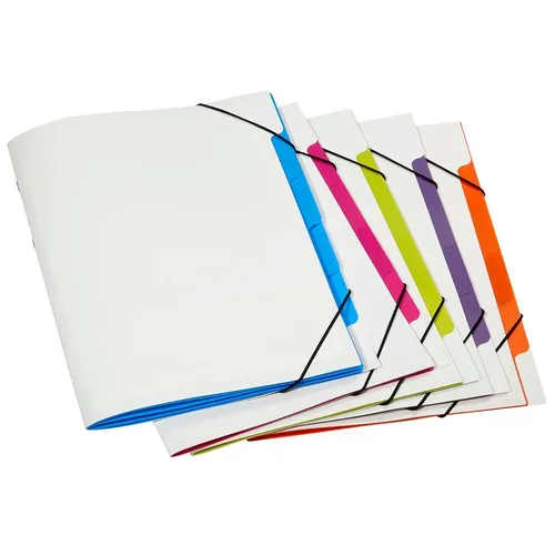 PAGNA Ordnungsmappen Trend 5 Fächer farbsortiert, 5 St.