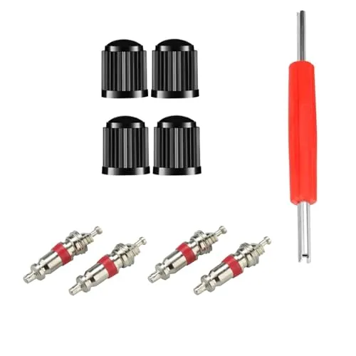 Lunpog Ventilausdreher 2 Seitig Ventilausdreher Einsatz Kern Werkzeug mit 4 Ventileinsätzen und 4 Reifenventilkappen für Auto, Motorrad, Fahrrad, LKW Reparaturwerkzeug