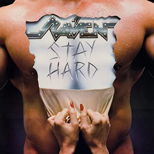 Stay Hard [Vinyl LP]