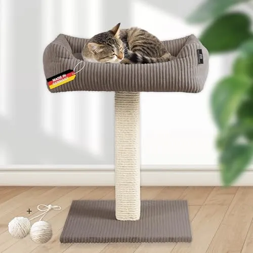 Rohrschneider Kratzbaum Wolly - Breiter Kratzstamm mit Kuschelbett - Kratzbaum für große Katzen, Made in Germany, mit extra breitem Kratzstamm und waschbarem Kissenbezug aus Cordstoff für maximalen Komfort und Langlebigkeit.