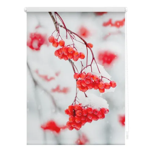 Lichtblick Rollo Klemmfix - Verdunkelung mit Vogelbeeren-Motiv, 70 x 150 cm - Rollos ohne Bohren für ein gemütliches Zuhause. Sicht- und Blendschutz mit 100% Verdunkelung, kinderleichte Montage mit verstellbaren Klemmträgern.