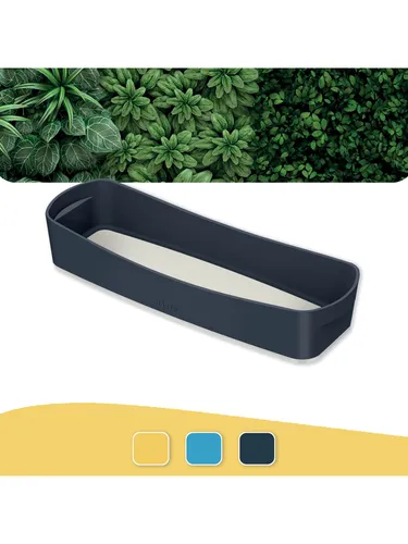 Leitz MyBox Cosy Aufbewahrungsschale Länglich Samtgrau