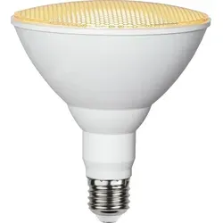 Plant Light