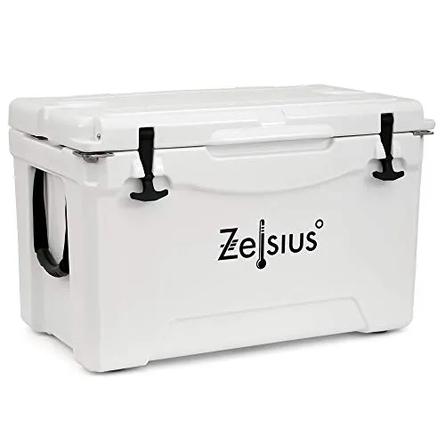 Zelsius Kühlbox 50 Liter – Tragbare Coolbox für Outdoor-Aktivitäten - Kühltaschen & -boxen mit Thermofunktion für kühle Getränke im Sommer und warme Speisen im Winter. Robuste Bauweise mit 50L Fassungsvermögen, ideal für Camping, Ausflüge und Grillpartys.