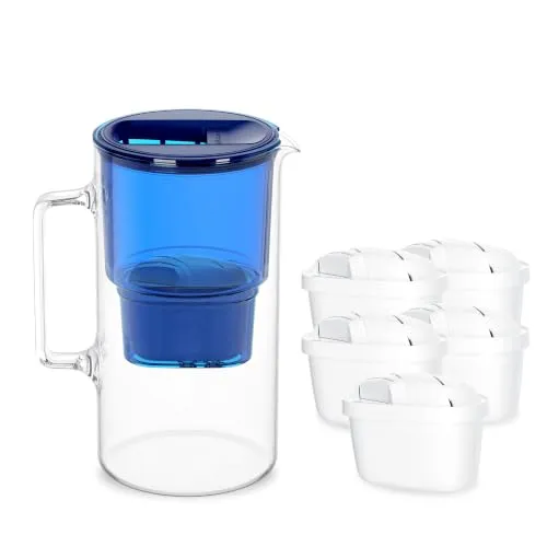Wessper Wasserfilter Kanne Glass 3 liter, Set Karaffe mit 5 filter