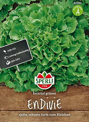 Winterendivie, Escariol grüner