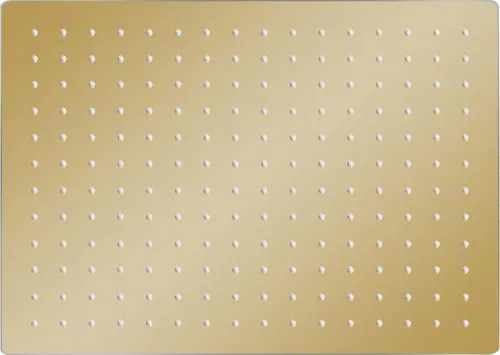 vidaXL Regenbrause 40x30cm in gold von vidaXL