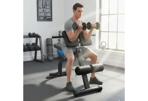 SPORTNOW Hantelbank mit 10-Fach Verstellbarer Höhe, (Klappbar Multifunktionale Trainingsbank, 1-tlg., Schrägbank für Ganzkörpertraining), bis 150 kg belastbar für Zuhause Fitnessstudio